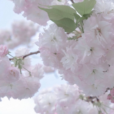 辽中FurryQQ群介绍